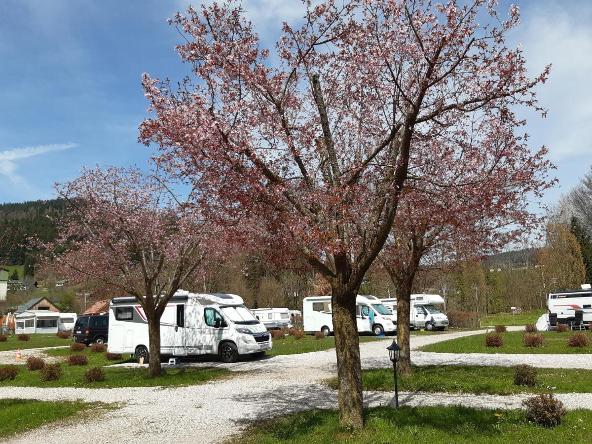 Scharnstein Campingfass Almtal מראה חיצוני תמונה