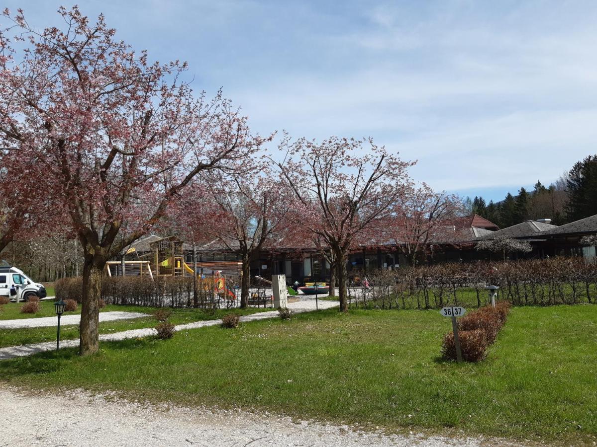 Scharnstein Campingfass Almtal מראה חיצוני תמונה